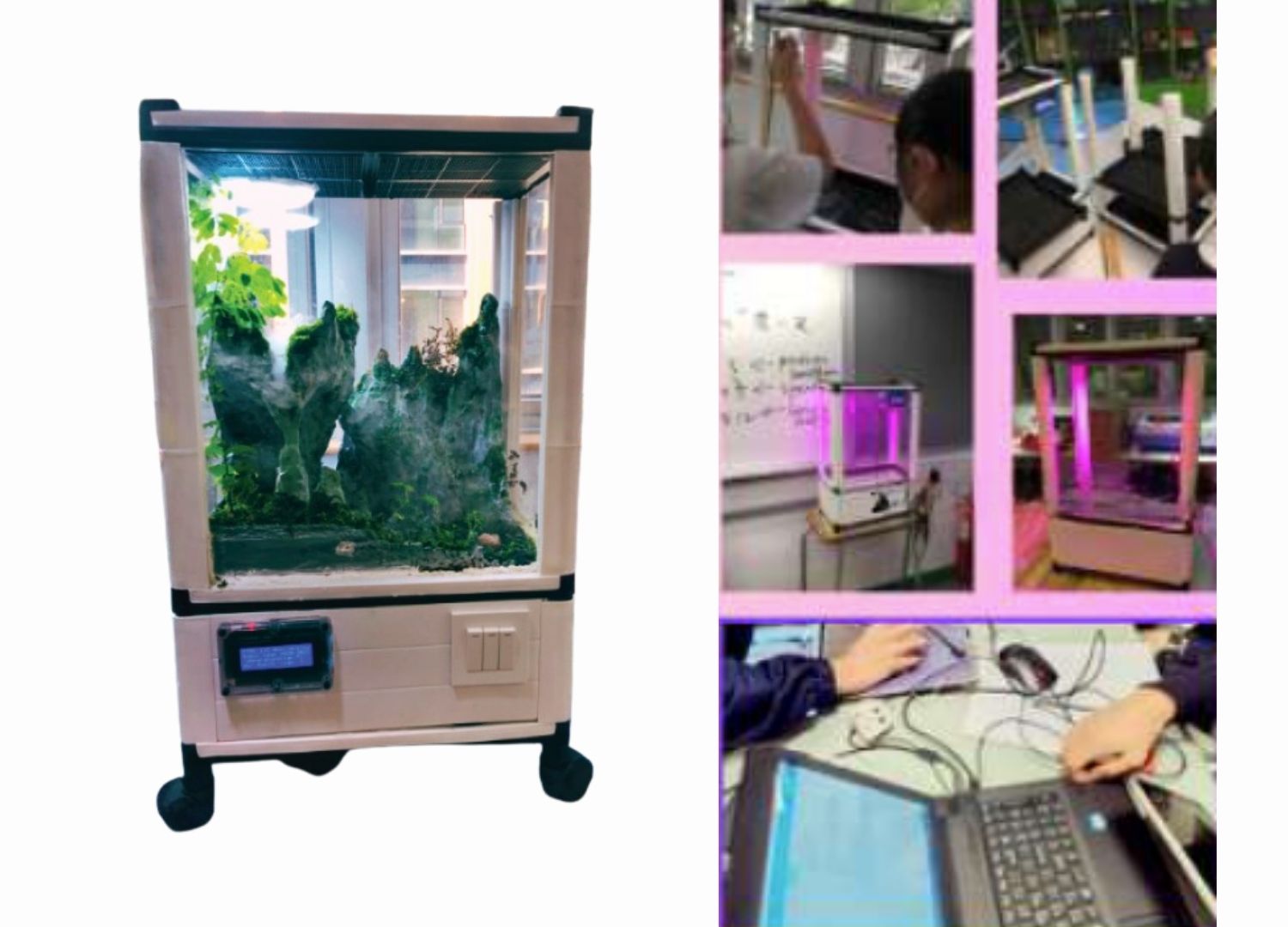 AI 語音編程 3D 熱帶雨林造景箱